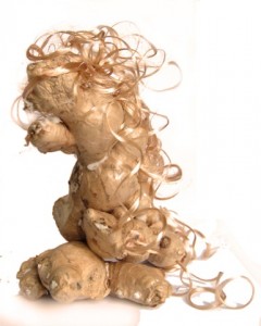 Fata Fioccodizenzero