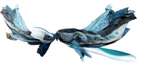 Libellula chiacchierina